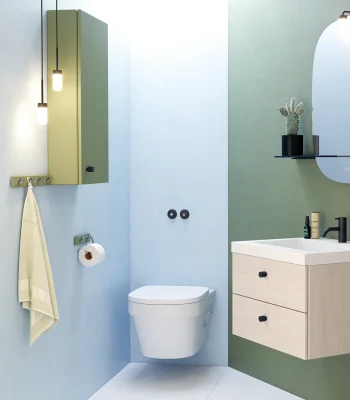 Modern bathroom with blue left wall and green right wall; two pendant lights, a wall-hung light-wood vanity with white sink, black tap, oval mirror, cactus, and toilet.